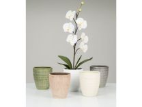 Orchid Flower Pot 667